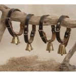 Leather Collars with Oblong Bells