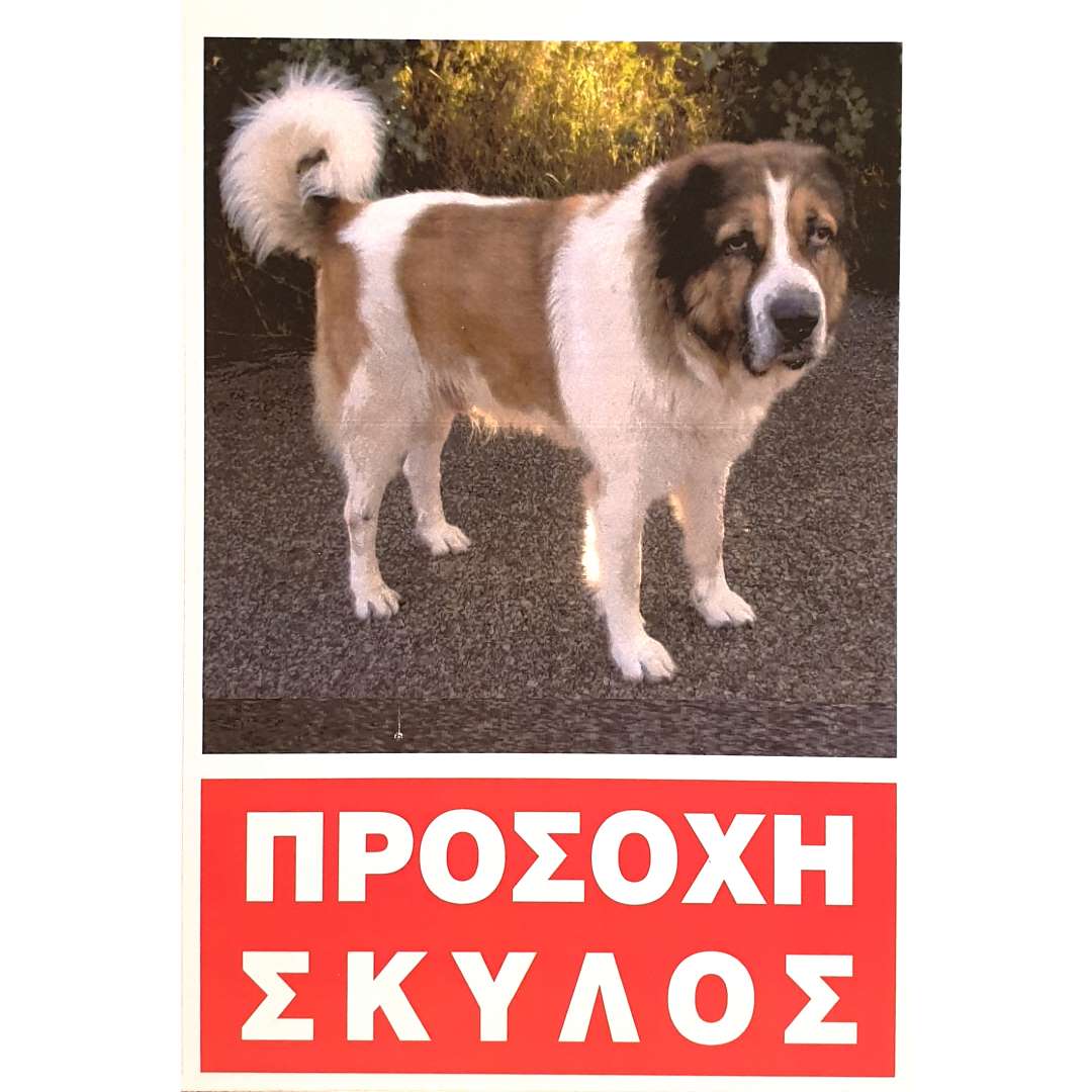 T-241 Πινακίδα Προσοχή Σκύλος Νο.241 - Image 1