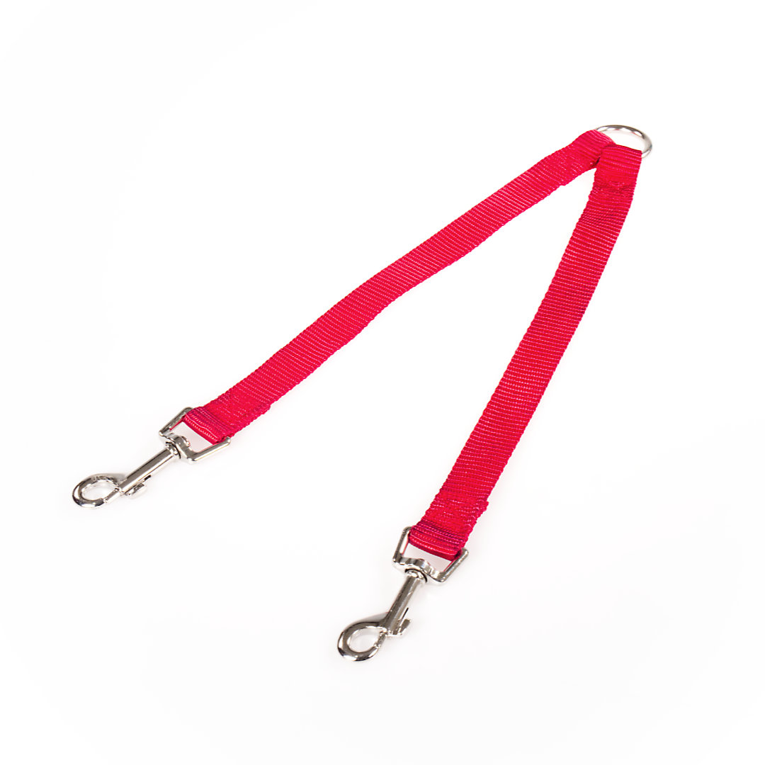P1122548 Nylon Webbing Leash for 2 Dogs 20mm - Image 1