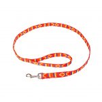 Embroidered Multicolored Nylon Webbing Leash