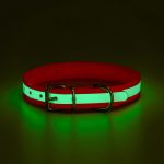 PVC BIOTHANE Glowing Collar - Image 2