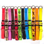 Synthetic Webbing Training Collar - Image 2