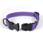 Anti-Slip Webbing Collar with Metal Safety Clip Buckle - Image 2