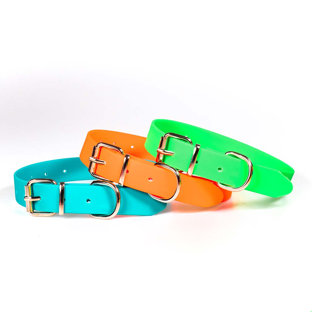 fg-1237_biothane_mat_plastic_dog_collar Περιλαίμια PVC ΜΑΤ με Εγκράφα Ρολού - Image 1