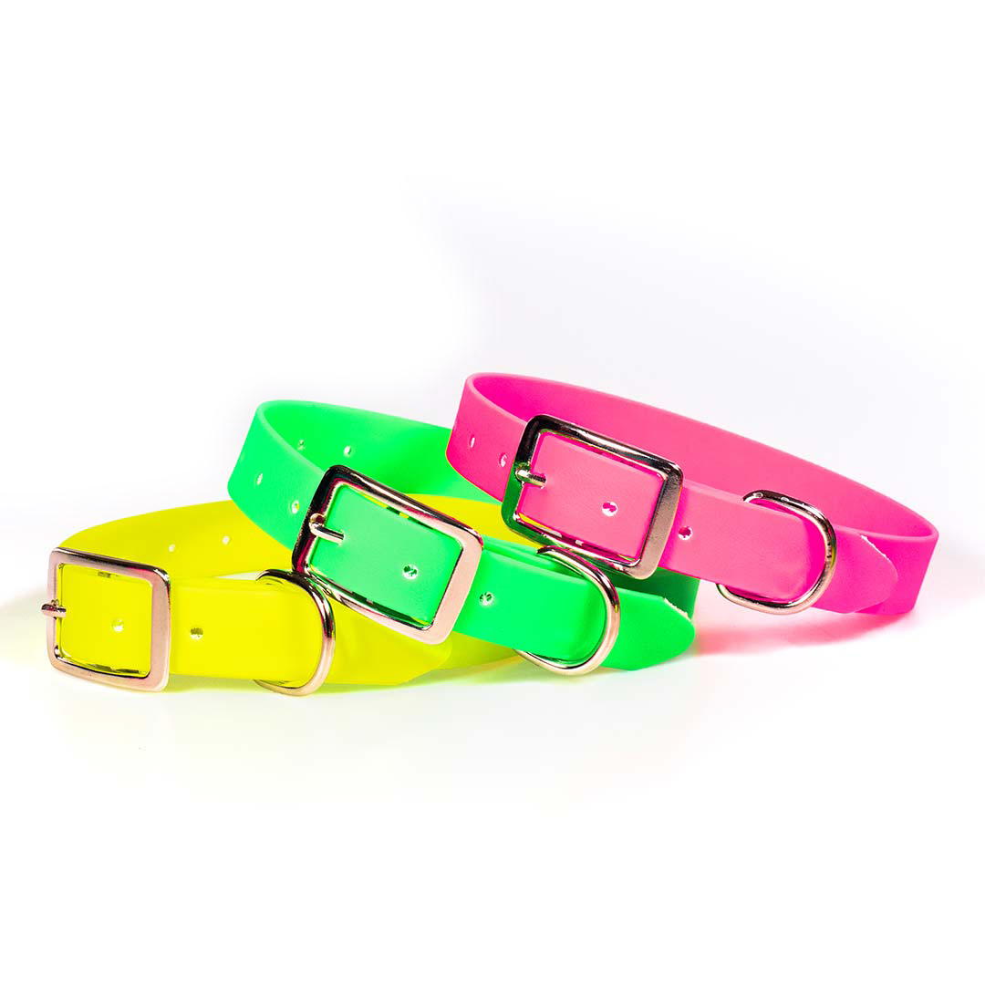 fg-1237h_biothane_mat_plastic_dog_collar_h Περιλαίμια PVC ΜΑΤ με Εγκράφα Χυτή - Image 1