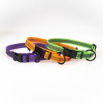 Anti-Slip Webbing Collars with Metal Safety Clip Buckle and Ring - Image 2